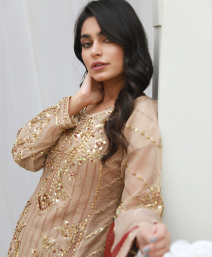 Beige & Maroon Embroidered Formal Suit with Sharara and Organza Dupatta