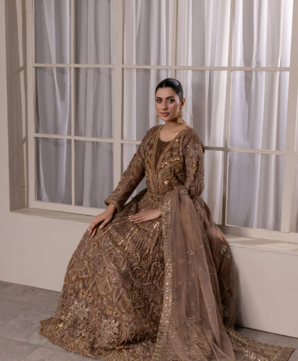 NT-1320-B Moonlit Grace — Breeza Net Maxi with Embroidered Dupatta