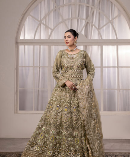 NT-1322 Dilruba Grace — Breeza Net Lehenga Choli Ensemble