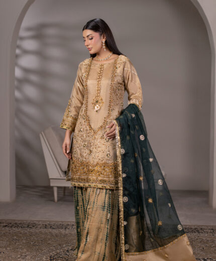 ZN-1306-B Regal Noor — Zari Net Shirt with Embroidered Sharara