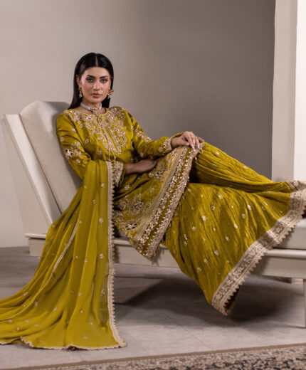 TS-2001-A Heirloom Grace — Embroidered Chiffon Gharara Ensemble